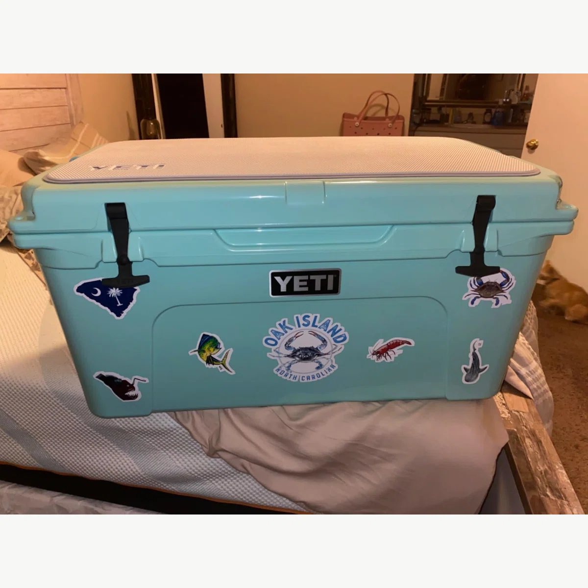 Beste Kühlbox