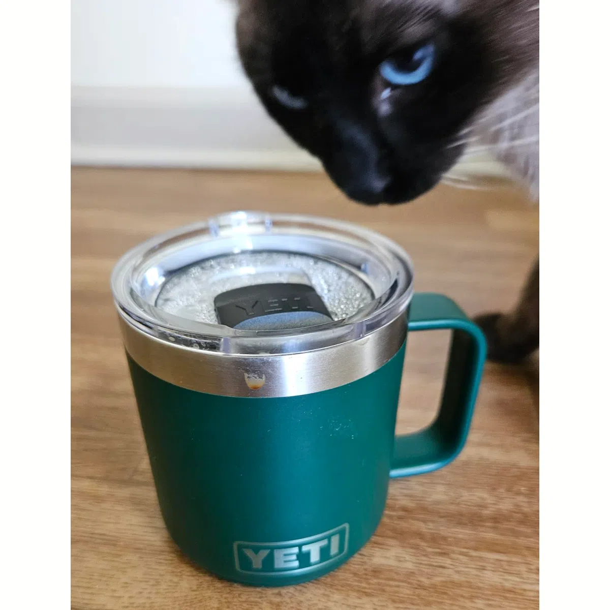 Gute Tasse, aber teuer